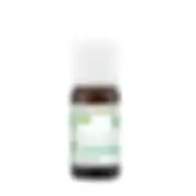 Huile essentielle Arbre à Thé BIO - 10ML