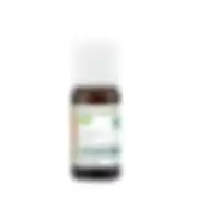 Huile essentielle Eucalyptus radié BIO - 10ML