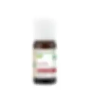 Huile essentielle Giroflier BIO - 10ML