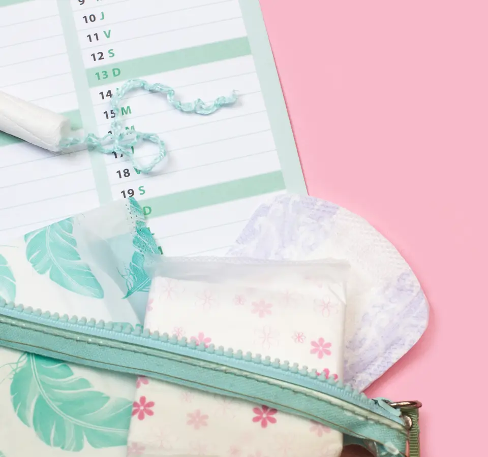 Protections hygiéniques pendant les règles : notre guide pour bien choisir
